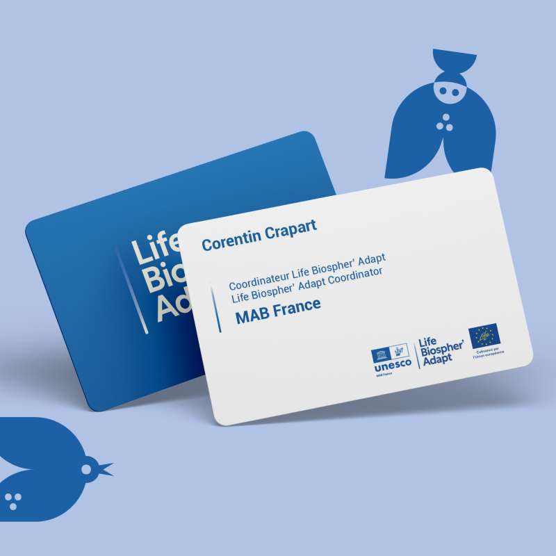 carte de visite 